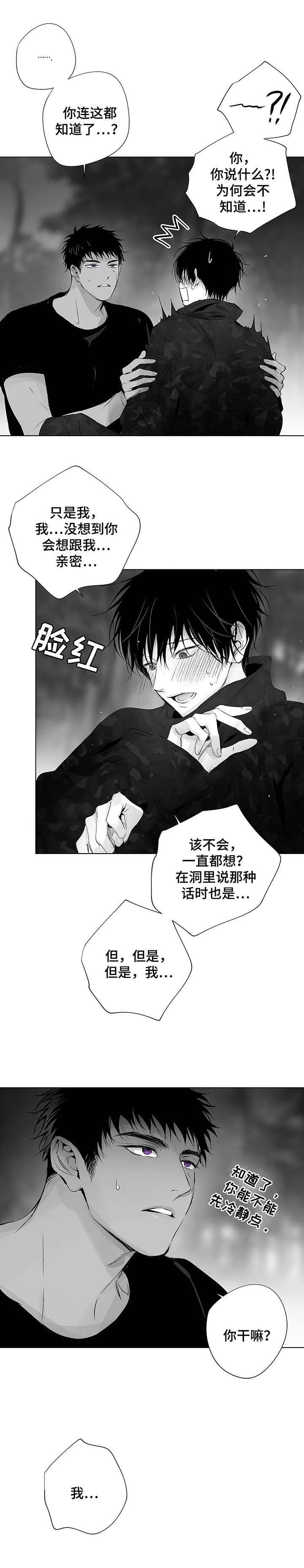 蜜月下载安装漫画,第36话3图