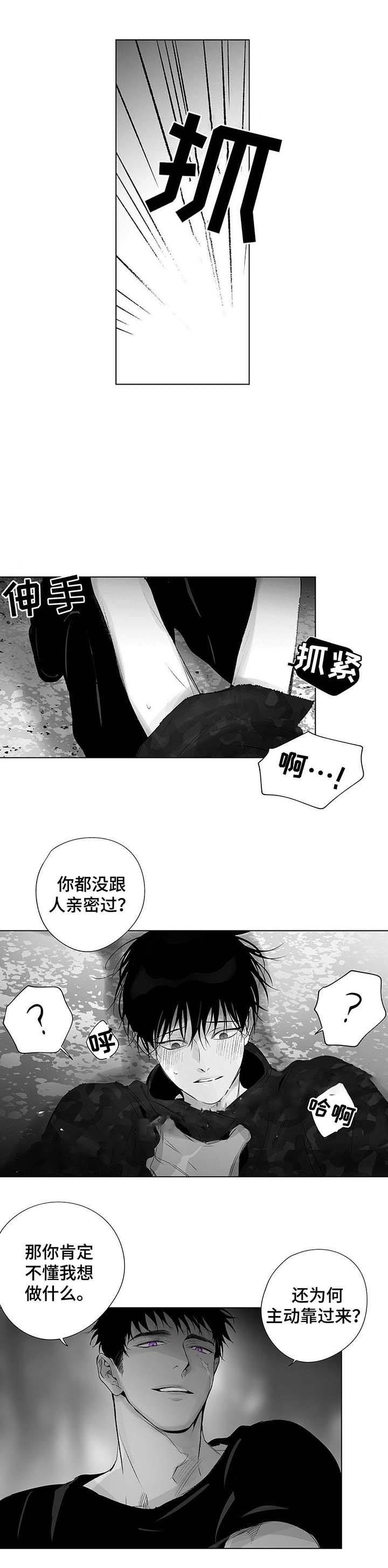 蜜月下载安装漫画,第36话5图