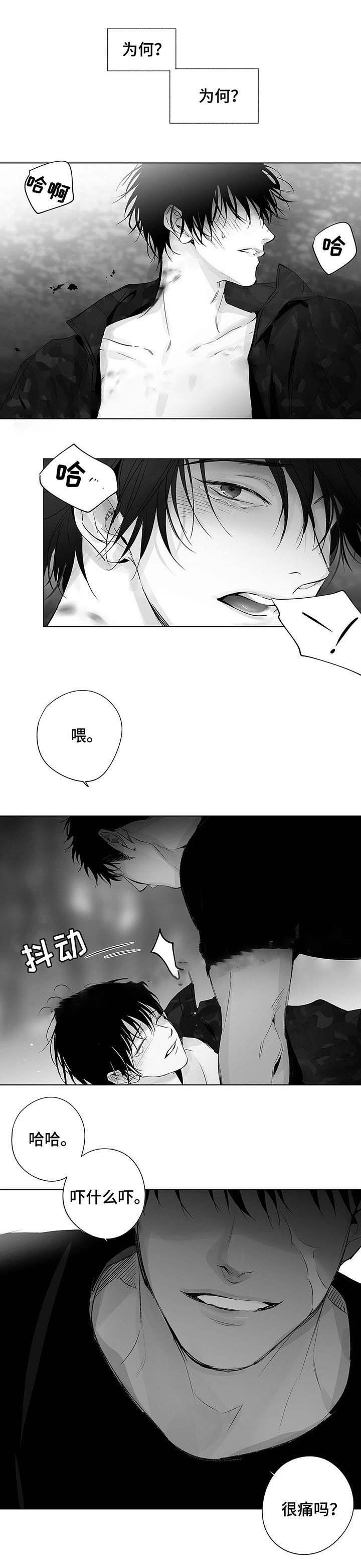 蜜月avmiyueav漫画,第37话1图