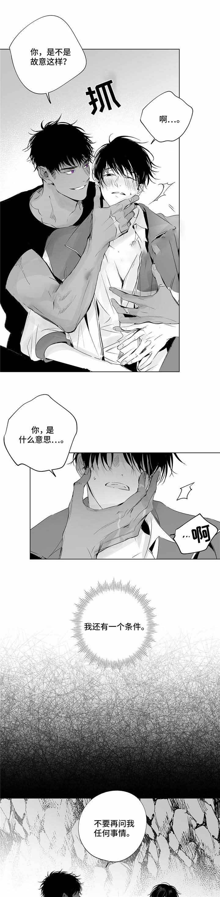 蜜月沙拉动漫在线观看漫画,第20话1图