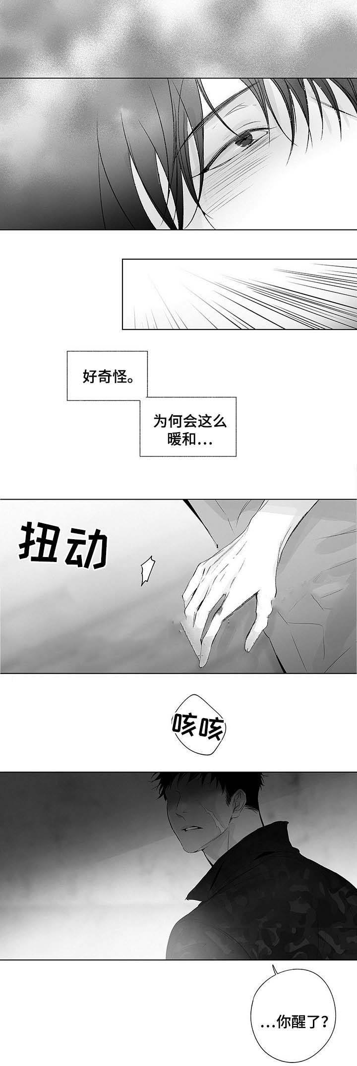 蜜月酒店之杀入事件迅雷下载漫画,第51话5图