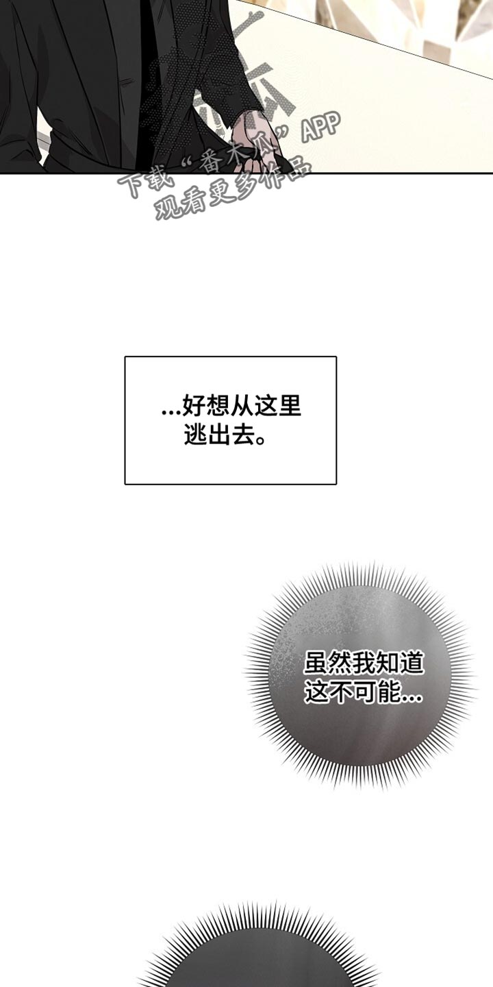 割裂的谎言 韩漫漫画,第56话4图