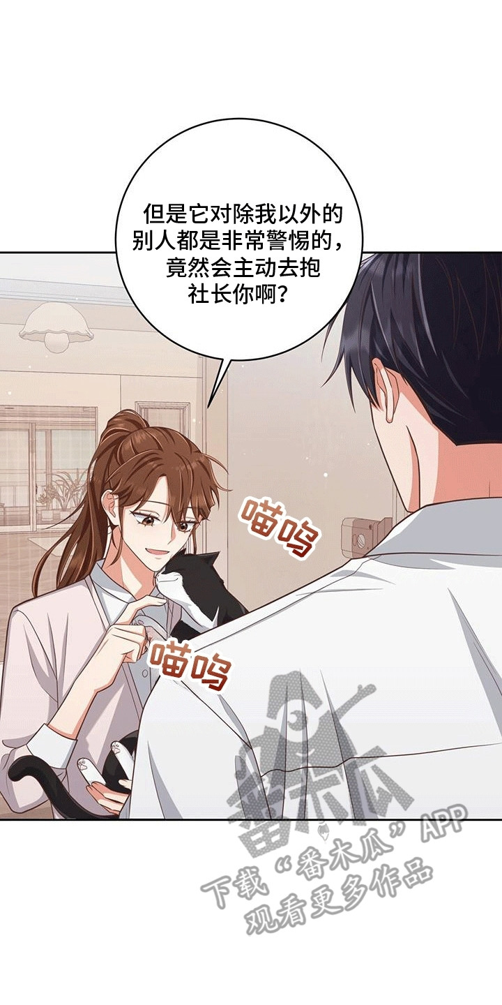 双重用工工伤责任漫画,第25话2图