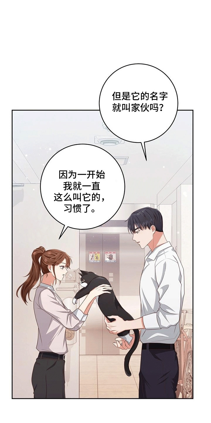 双重用工工伤责任漫画,第25话1图