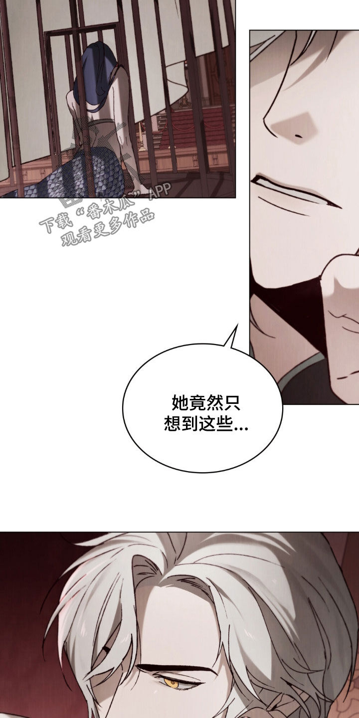 琥珀魅影官方正版官网漫画,第87话3图