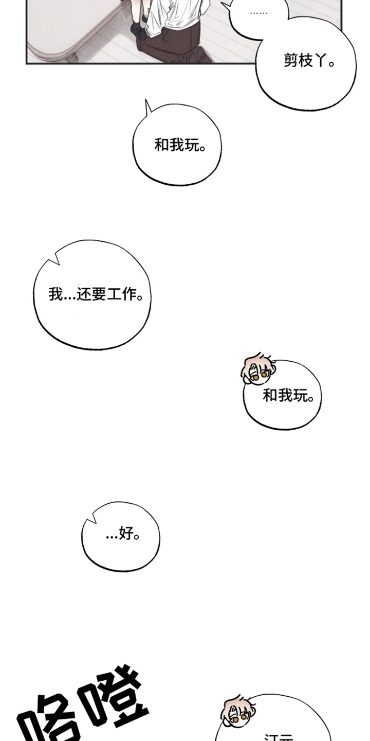 坏苹果的危害漫画,第41话5图