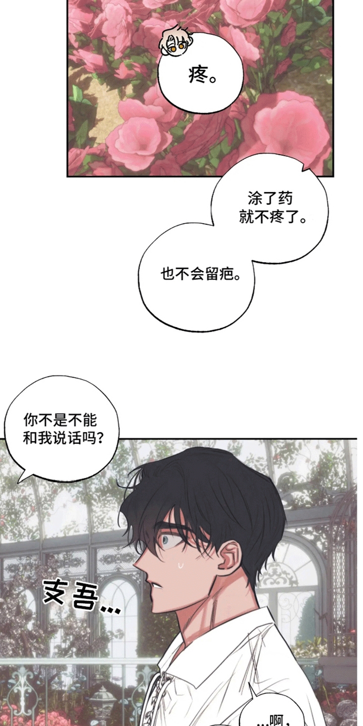 坏苹果的危害漫画,第41话2图