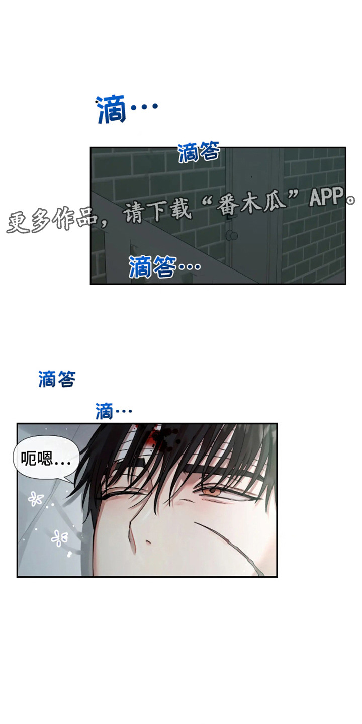 坏苹果有致癌物吗漫画,第57话5图
