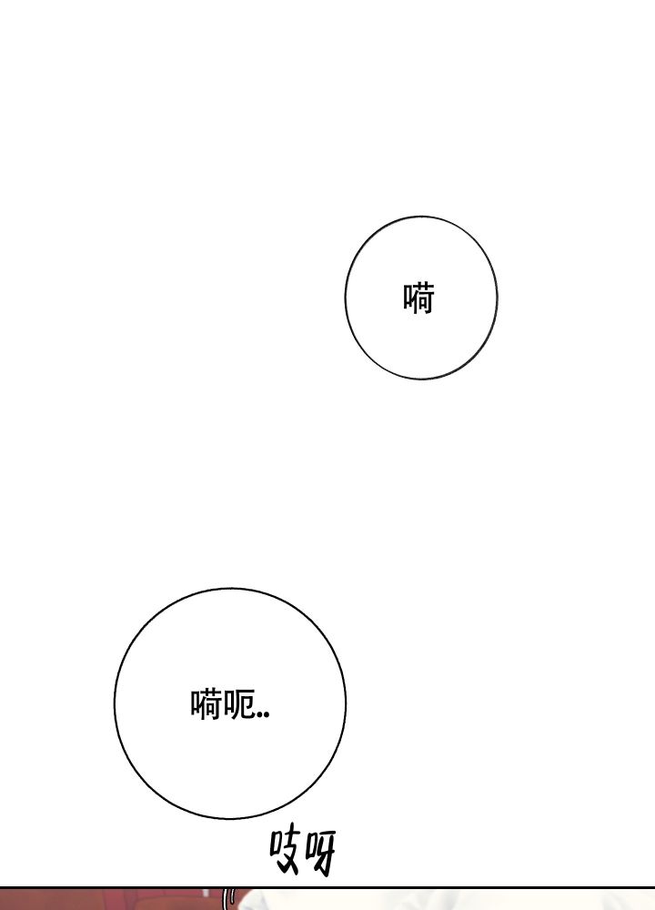 王子的本命是恶役千金在线观看动漫无删减版在线看完整漫画,第1话1图