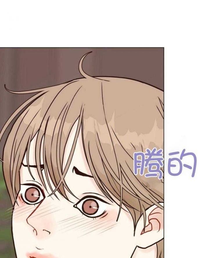 赴日旅游大军横扫日本商场漫画,第127话1图