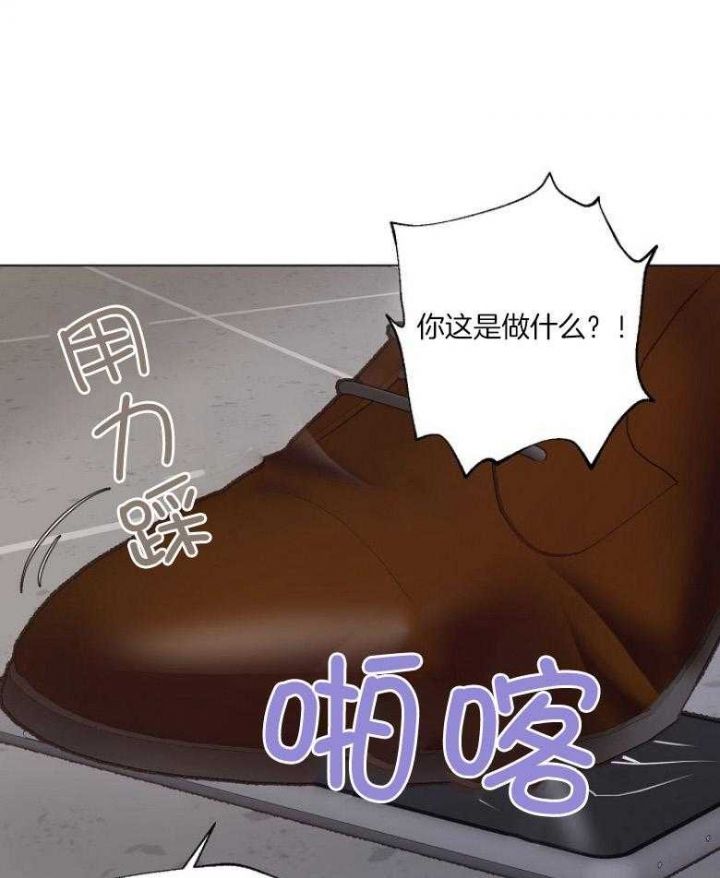 赴缅游旅行社老板发声漫画,第129话1图