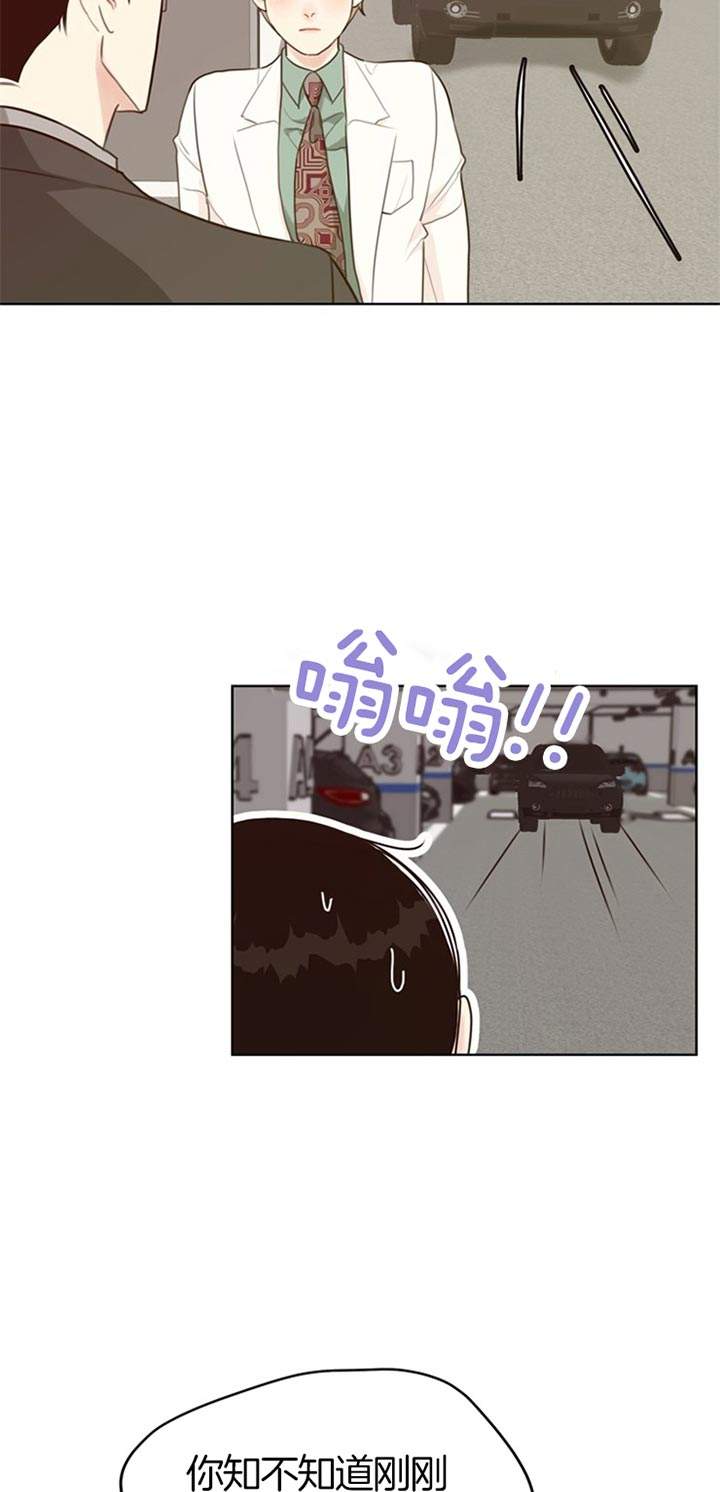 赴宴夫妻遭蜂群攻击漫画,第65话5图