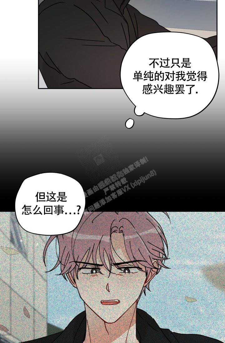 不期而遇短剧漫画,第21话5图