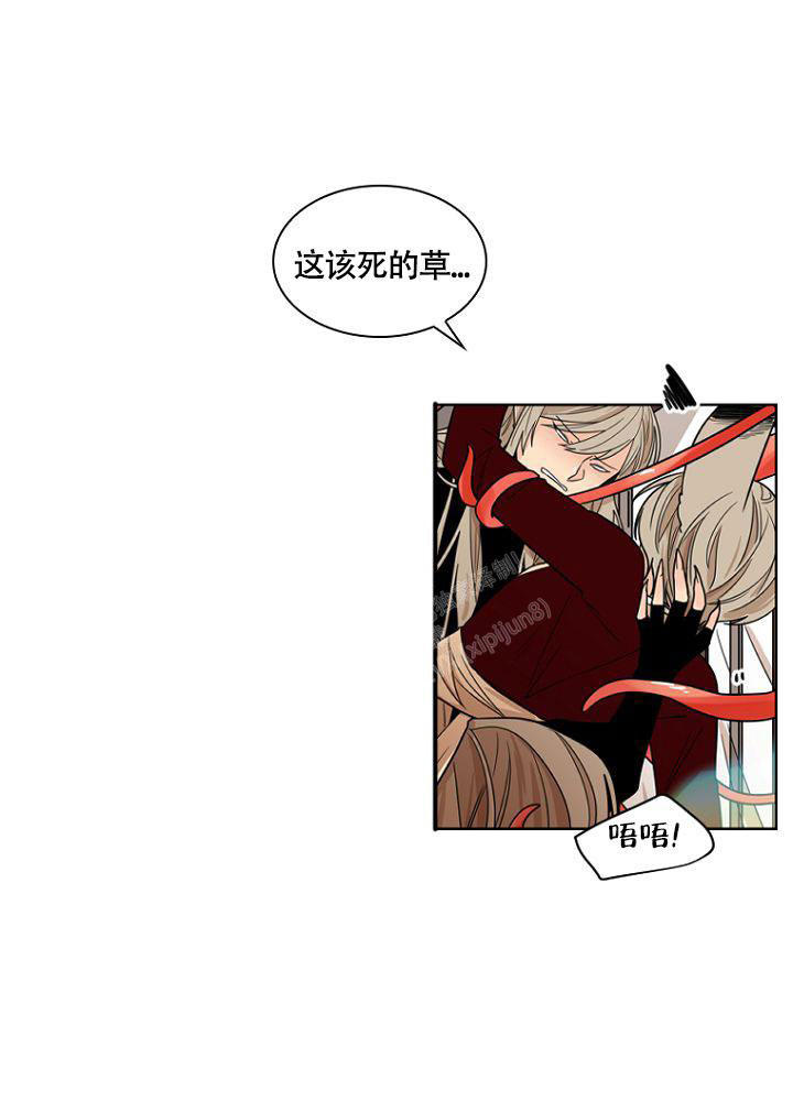灿烂的梦想在哪看漫画,第10话2图