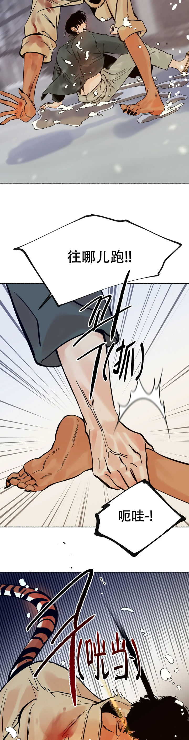 千年虎鲨图片大全漫画,第6话5图