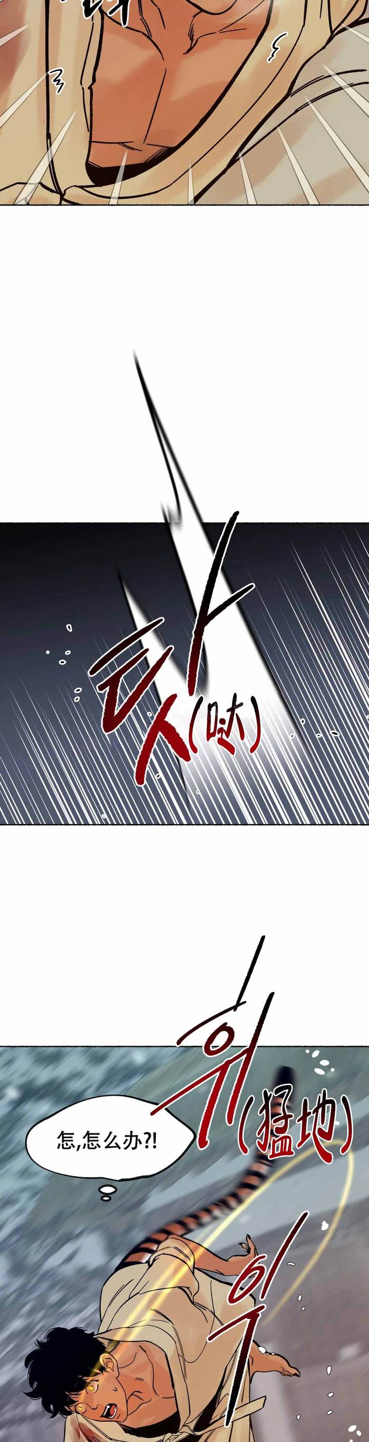 千年虎鲨图片大全漫画,第6话4图