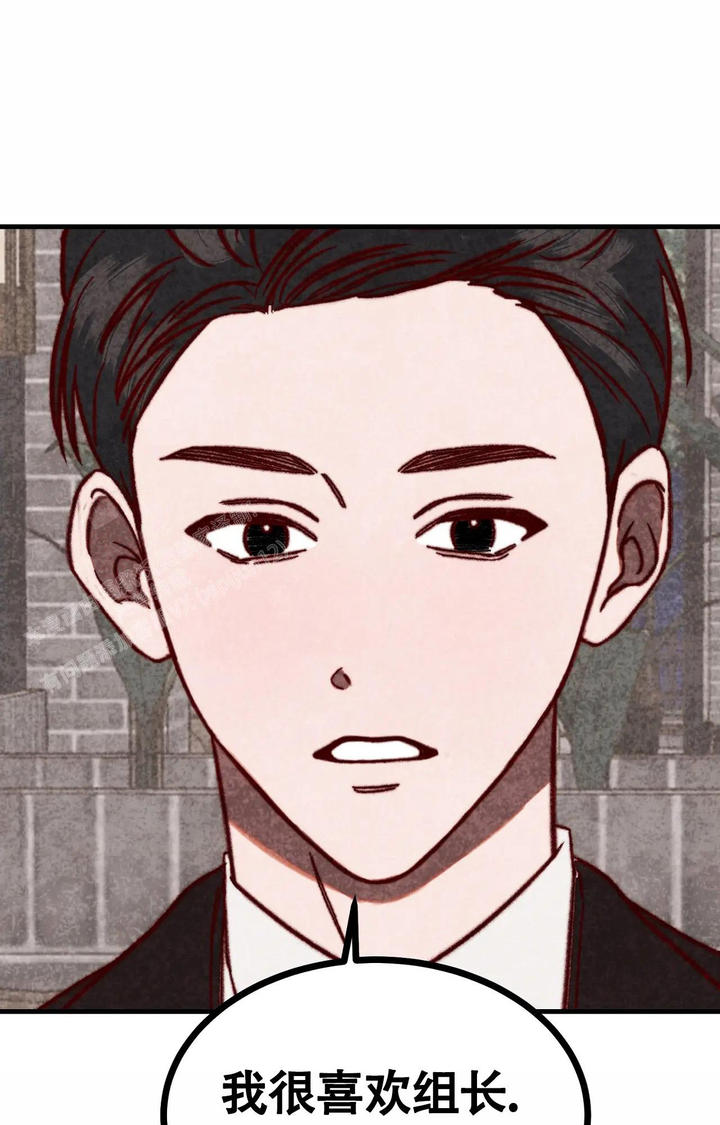 雪后的梅花图片漫画,第7话2图