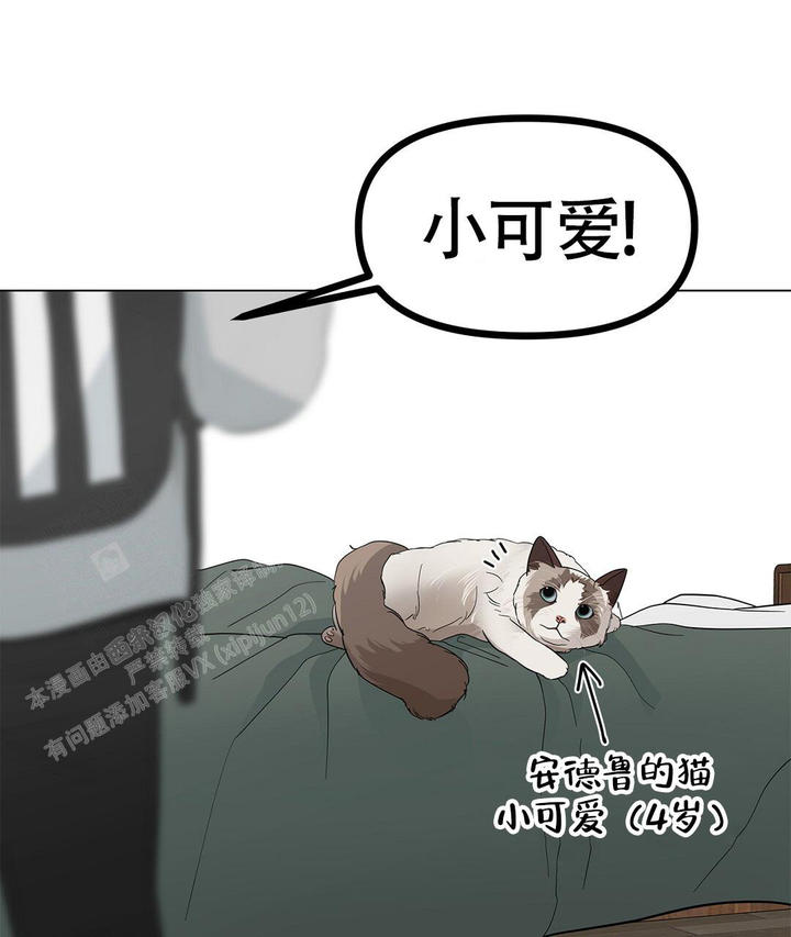 理论午夜免费2020免费漫画,第16话4图