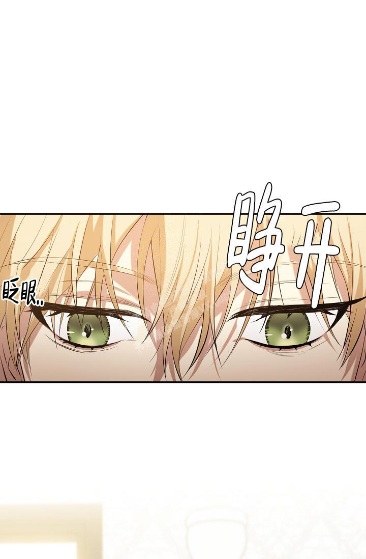 帝国的毁灭人物介绍漫画,第7话4图