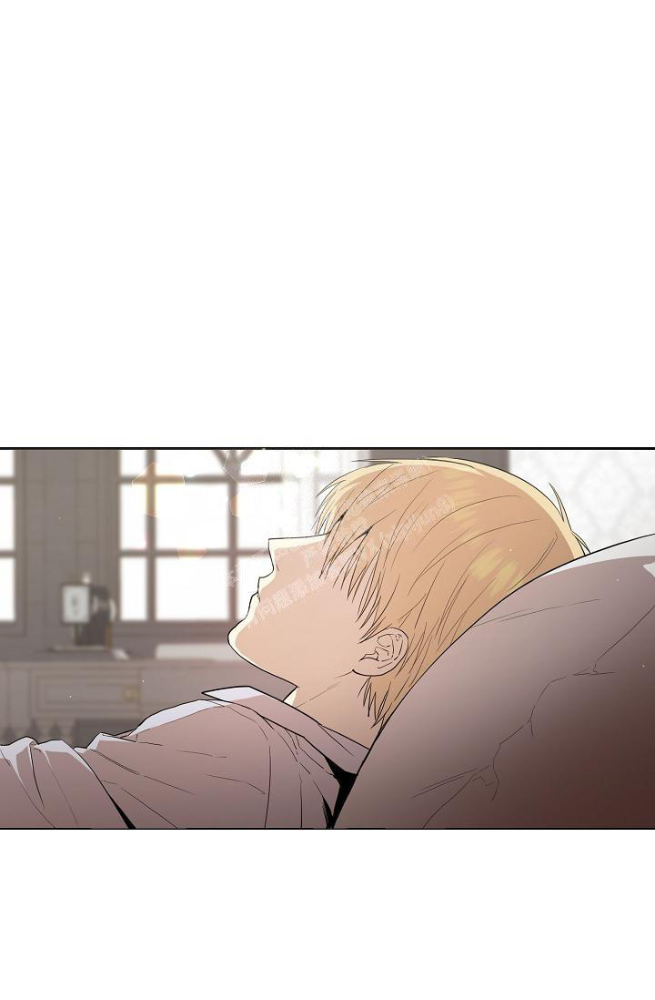 帝国的毁灭人物介绍漫画,第7话3图