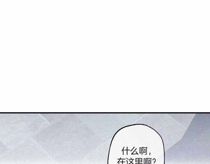 湿沙子可以做猫砂吗漫画,第6话1图