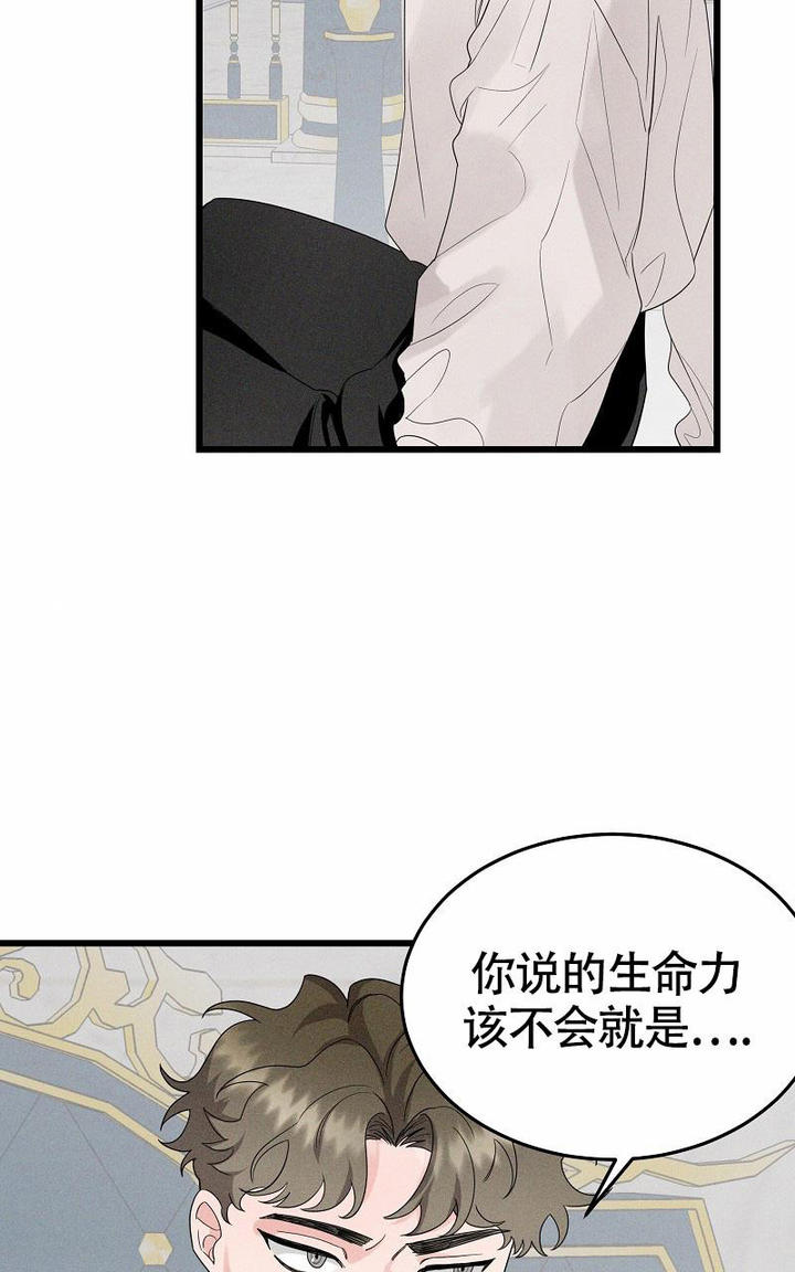 影子公主汉服正版店铺推荐价格漫画,第5话4图