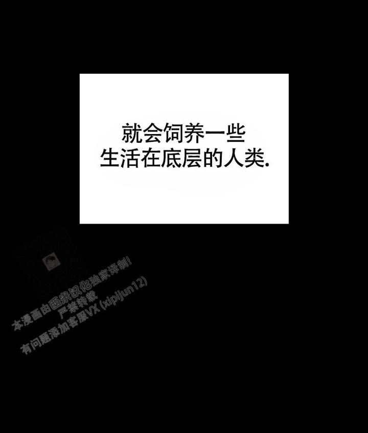 影子公司的英语漫画,第4话4图