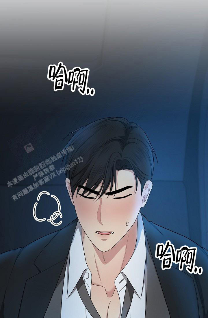 金丝雀吃什么漫画,第23话5图
