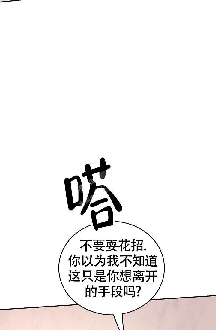 金丝雀by狐狸不归在线阅读漫画,第16话4图