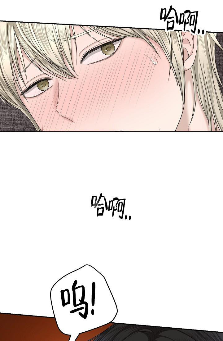 金丝雀攻略手册漫画,第15话4图