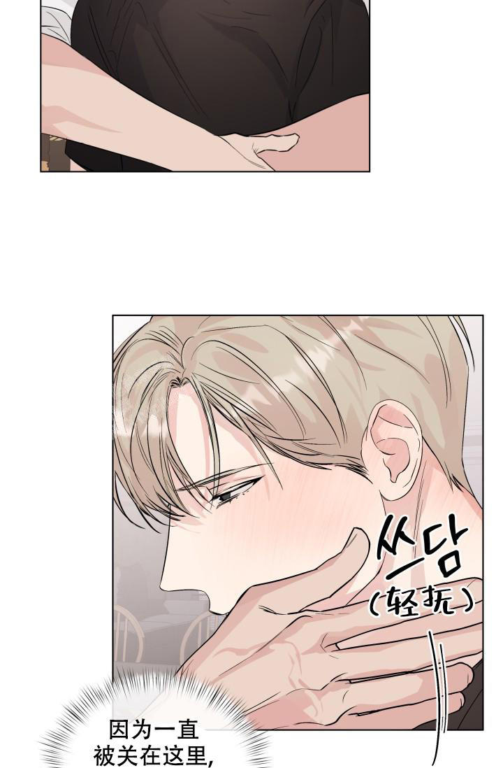 杀死爱尔兰人的原型漫画,第11话5图