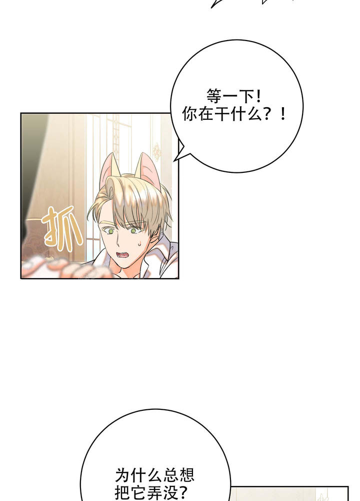 石牛是什么牛漫画,第5话5图