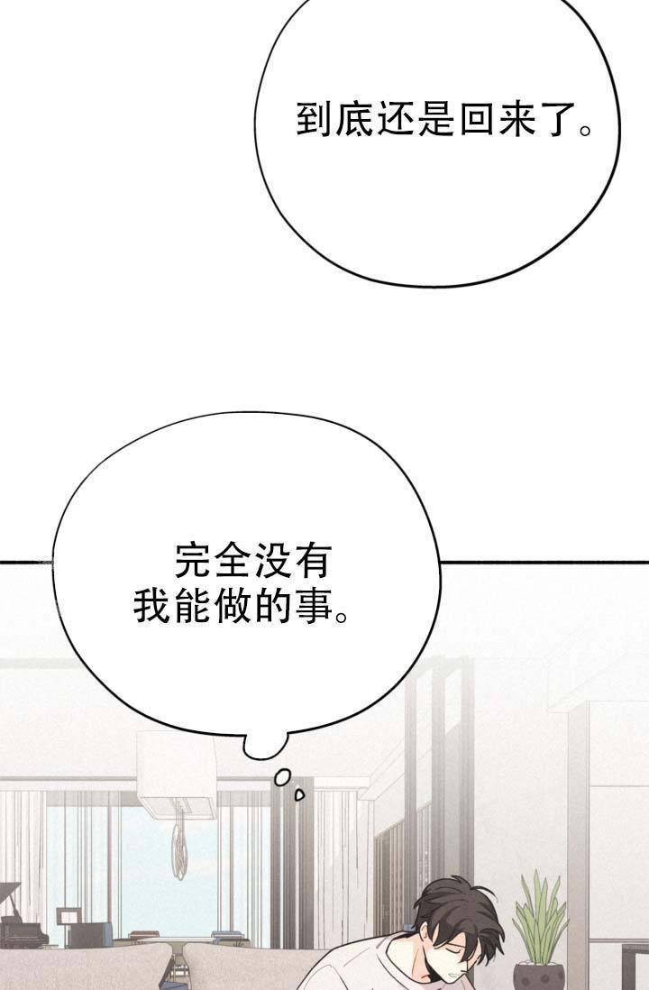 模拟装箱工具漫画,第9话4图