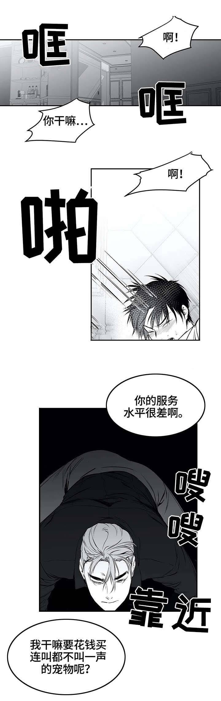 不走路微信步数会增加不漫画,第22话5图