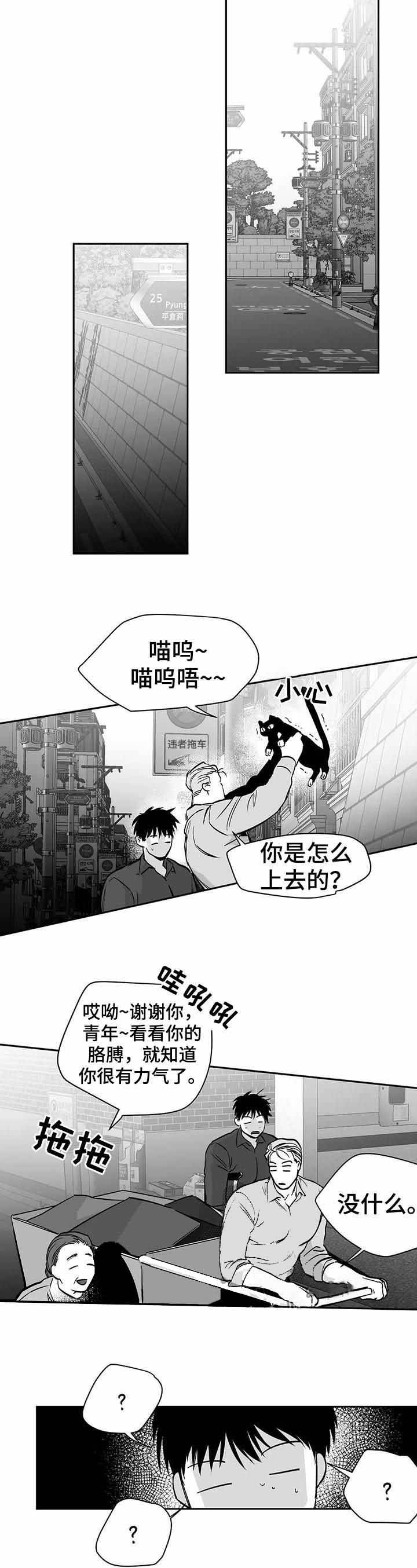 不走路微信步数会增加不漫画,第75话3图
