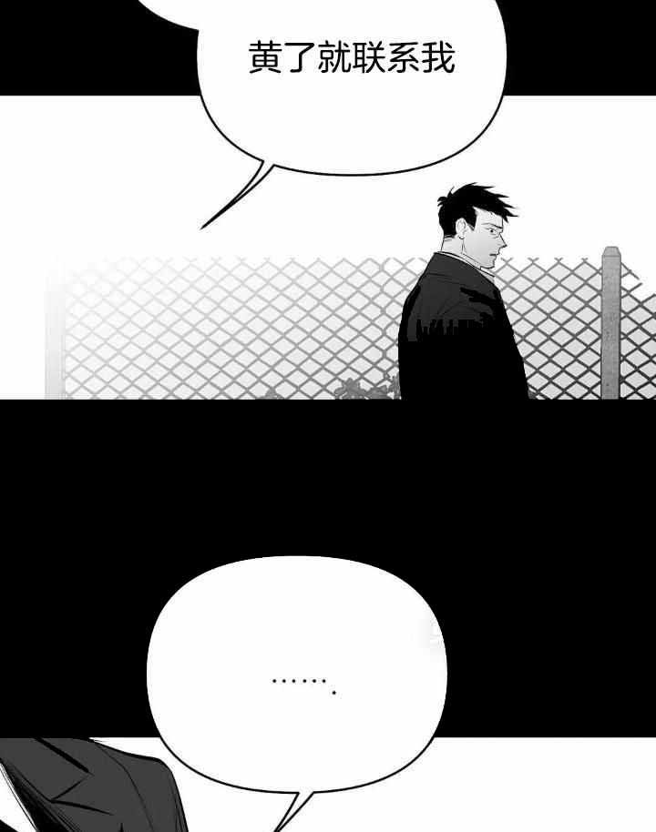 不走路的腿漫画免费观看漫画,第161话5图