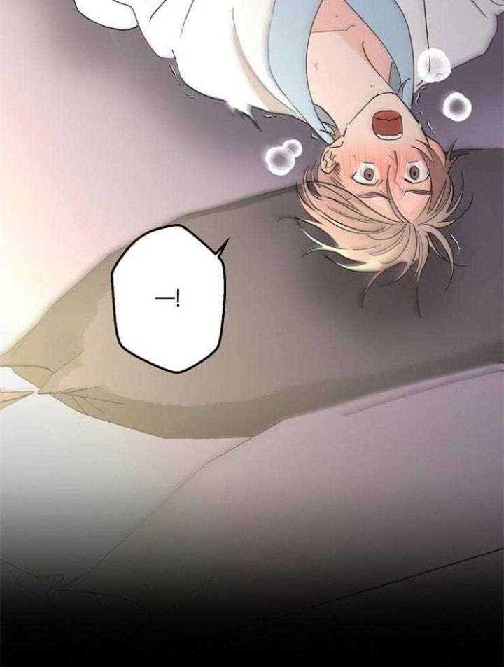 炒过的豆子会发芽吗在线阅读漫画,第42话4图