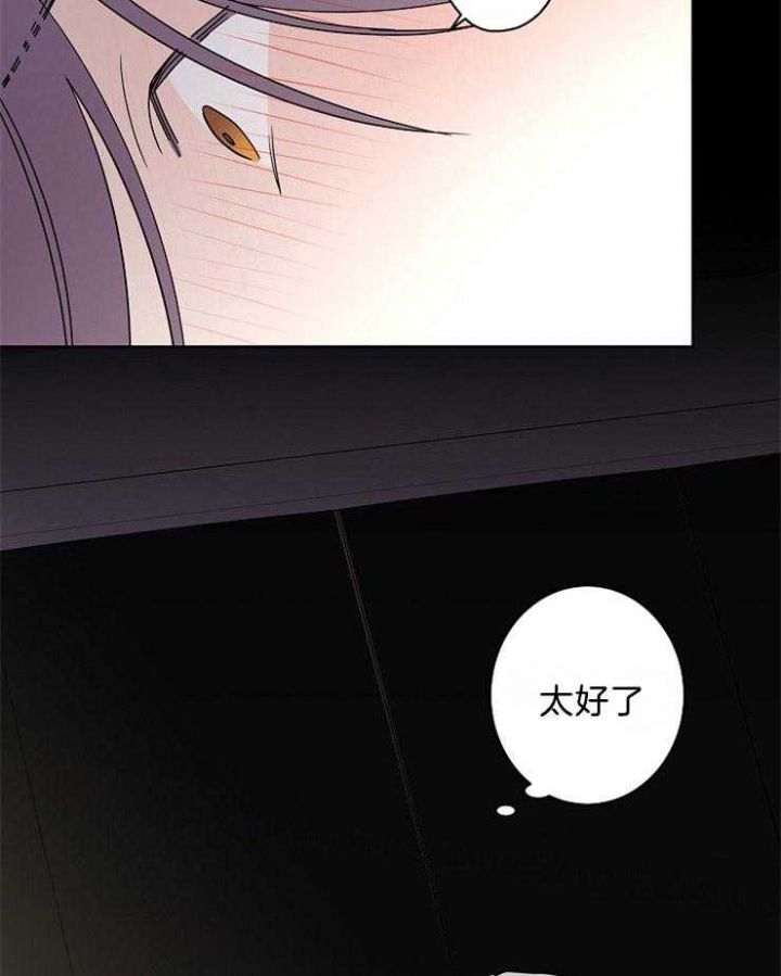 炒过的豆子会发芽吗资源漫画,第40话3图