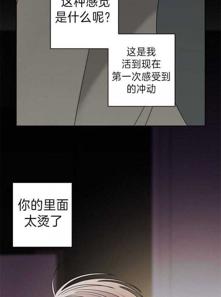 炒过的豆子还需要煮吗漫画,第41话5图