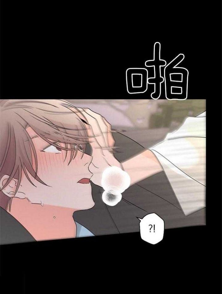 炒过的豆子会发芽吗在线阅读漫画,第42话1图