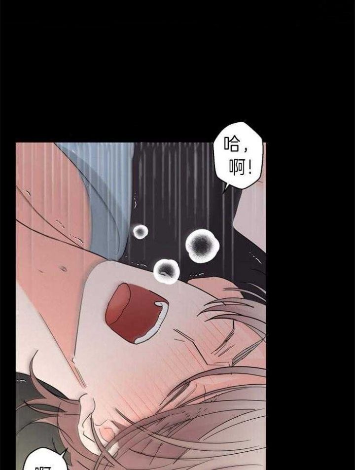 炒过的豆子会发芽吗在线阅读漫画,第42话5图