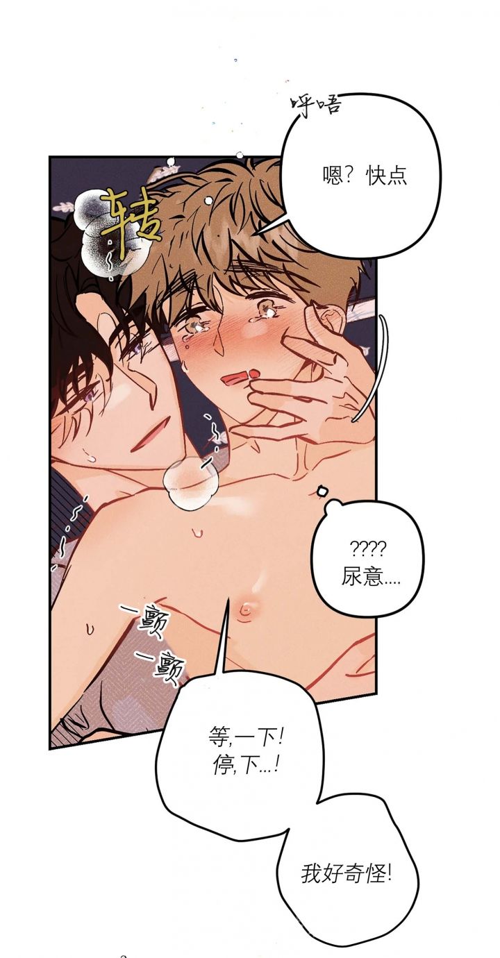 奏爱在漫蛙叫什么漫画,第62话5图