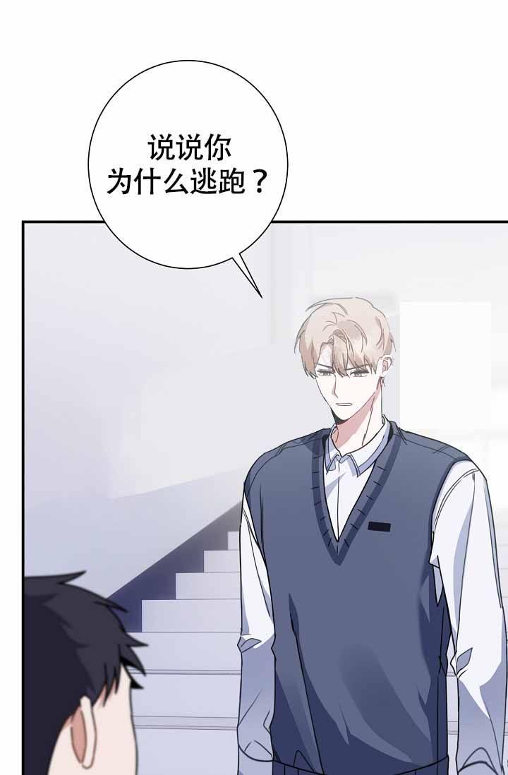 恋爱至上主义区域漫画叫什么漫画,第11话1图