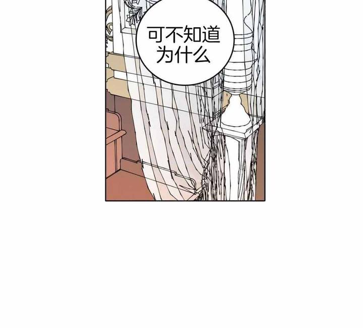 亲爱的野兽小说书评漫画,第39话2图