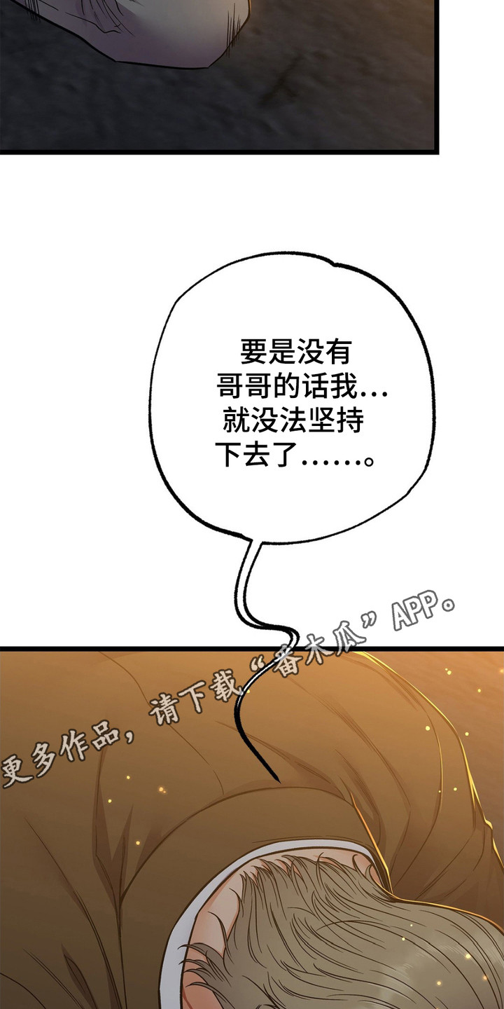 浴火重生小说免费阅读漫画,第14话5图