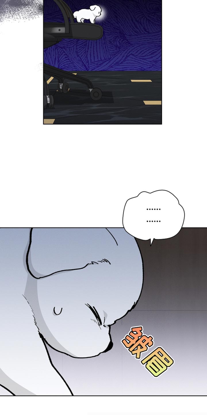 小白狗奇遇记简介漫画,第26话4图