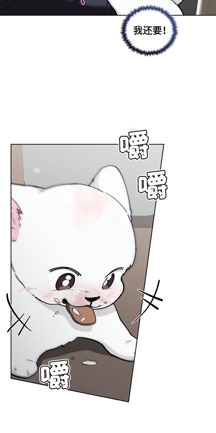 小白狗奇遇记漫蛙叫什么漫画,第34话4图