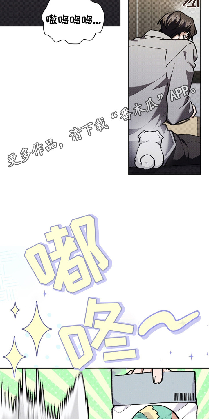 小白狗奇遇记免费漫画下拉式漫画,第15话5图