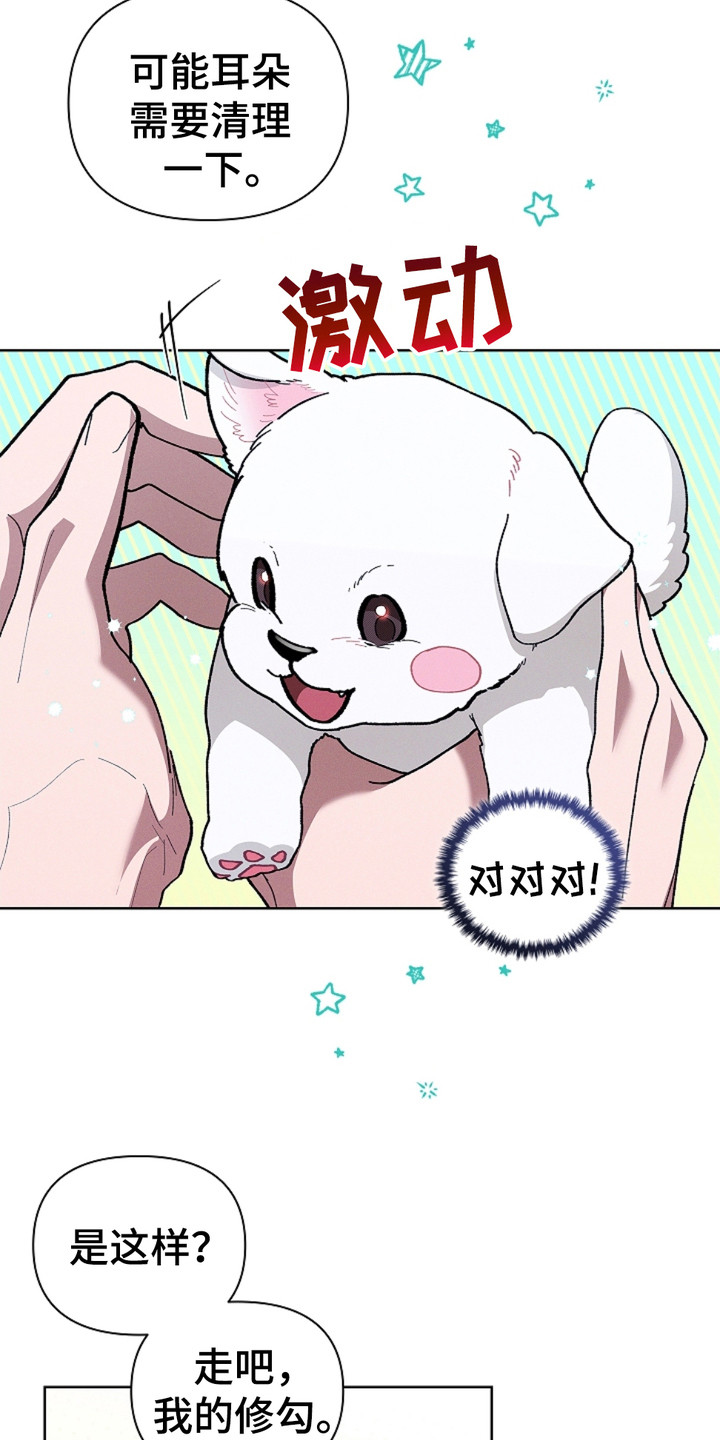 小白狗奇遇记第一话漫画,第19话4图