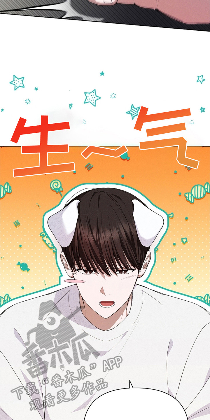 小白狗奇遇记漫画免费阅读平台漫画,第3话2图